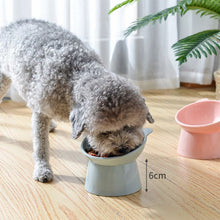 Load image into Gallery viewer, Elevated Cute Dog &amp; Cat Bowl
