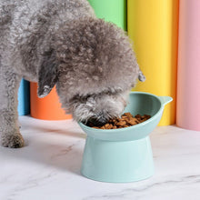 Load image into Gallery viewer, Elevated Cute Dog &amp; Cat Bowl
