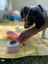 Load image into Gallery viewer, Portable Dog Water Bottle
