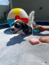 Load image into Gallery viewer, Adorable Puppy Shower Brush
