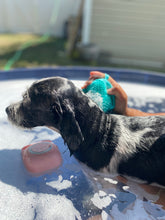 Load image into Gallery viewer, Adorable Puppy Shower Brush
